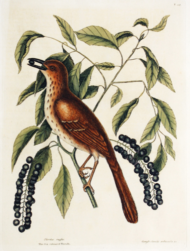 artist photo