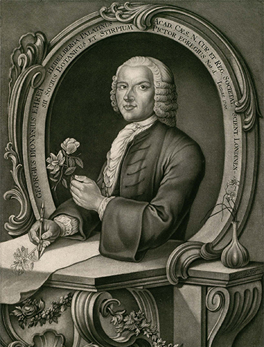 artist photo