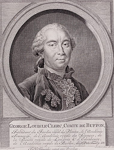 artist photo