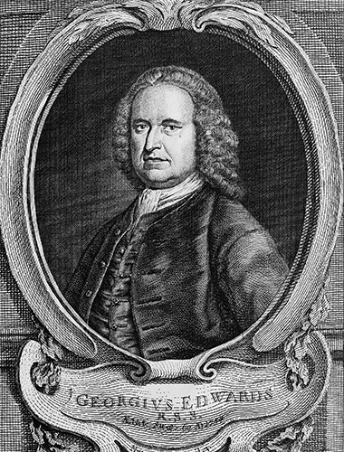 artist photo