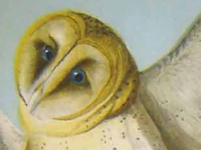 object thumbnail