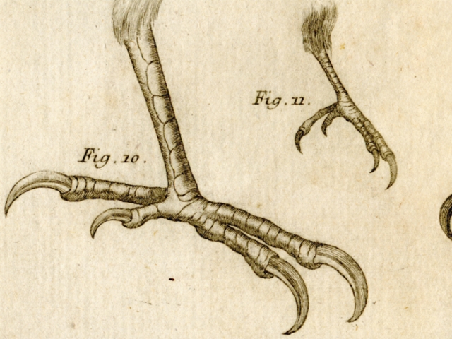 object thumbnail