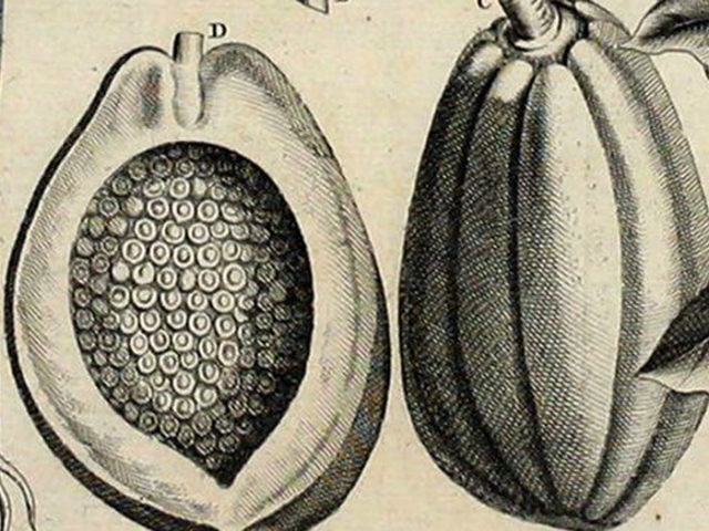 object thumbnail