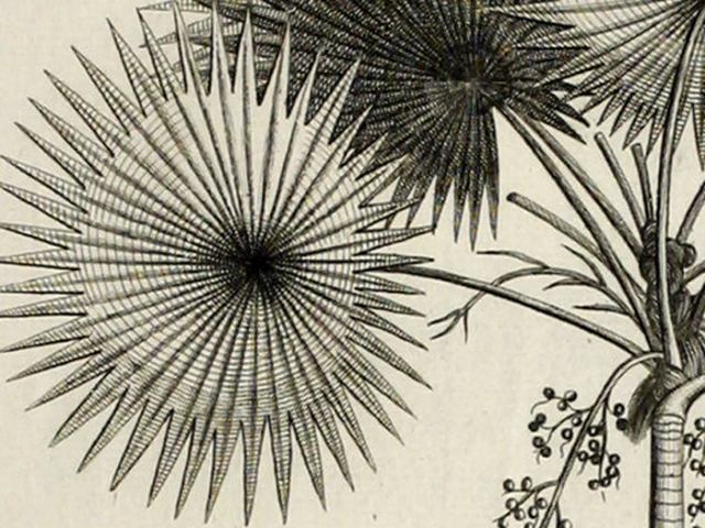 object thumbnail