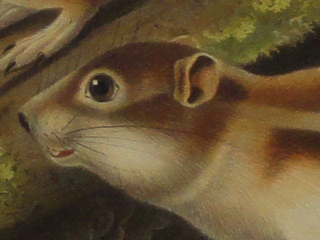 object thumbnail