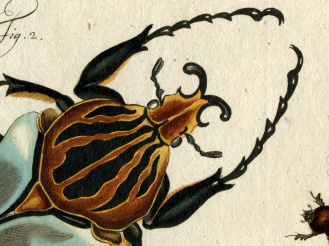 object thumbnail