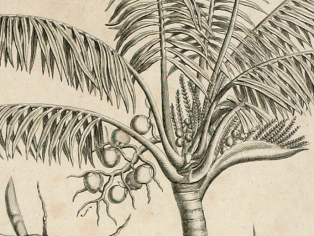 object thumbnail