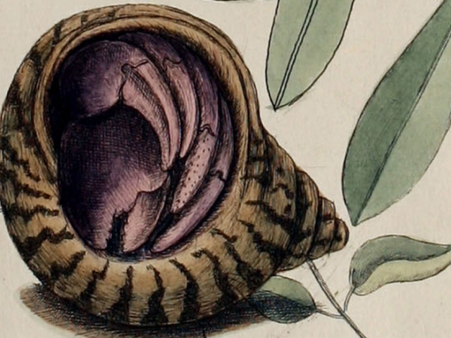 object thumbnail
