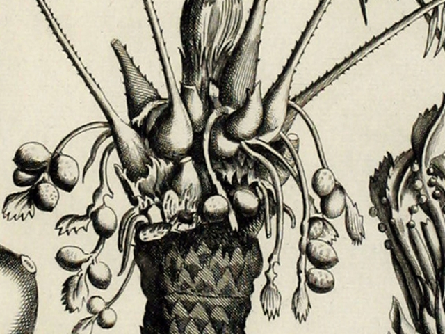 object thumbnail
