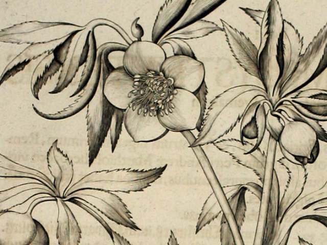 object thumbnail