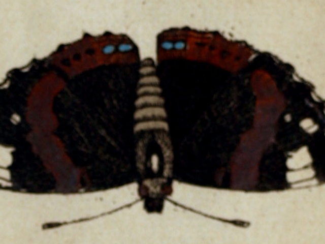 object thumbnail