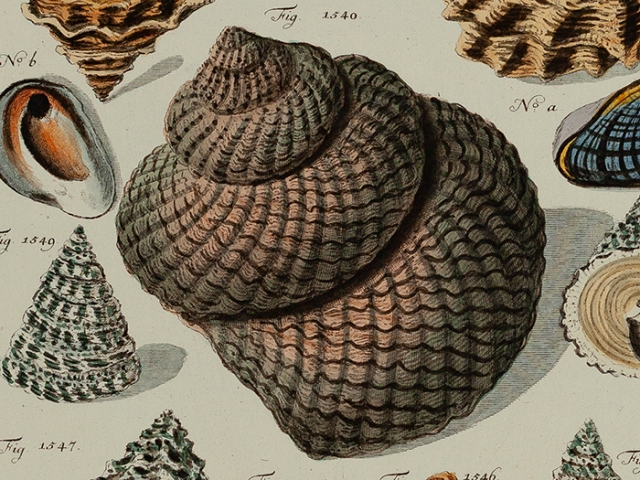 object thumbnail