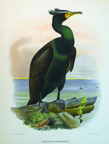 exhibition photo