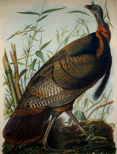 exhibition photo
