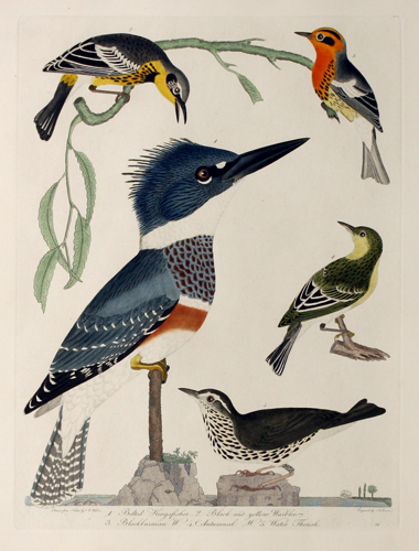 exhibition photo