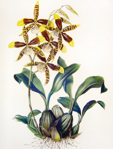 exhibition photo