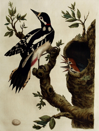 exhibition photo