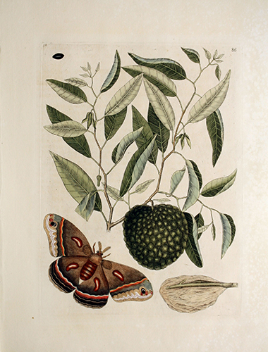 exhibition photo