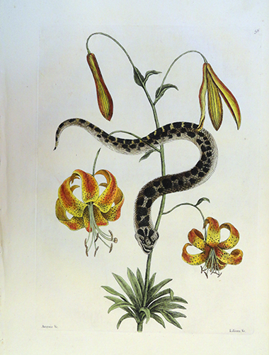 exhibition photo