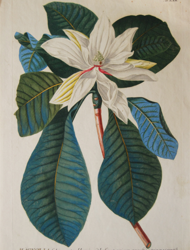 exhibition photo