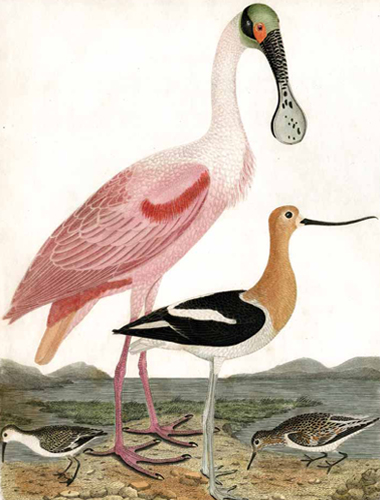 exhibition photo
