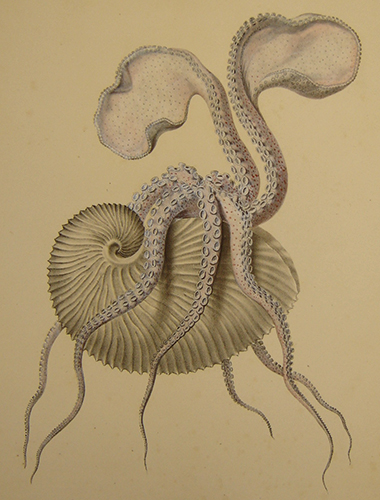 exhibition photo