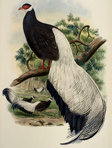 exhibition photo