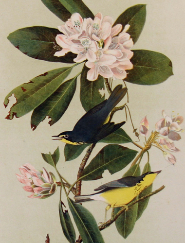 exhibition photo