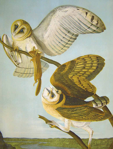 exhibition photo