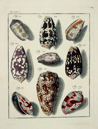 exhibition photo