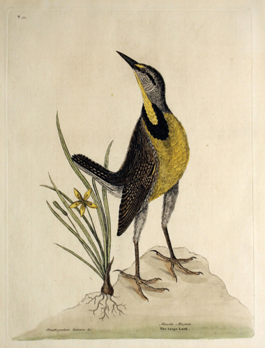 exhibition photo